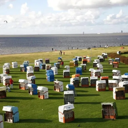 Schwemm Comfortable نوردين